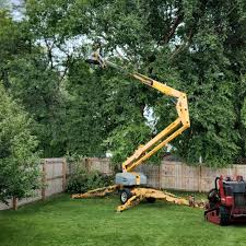 Best Emergency Tree Removal  in Commerce, TX